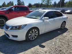 Salvage cars for sale at Graham, WA auction: 2015 Honda Accord EXL