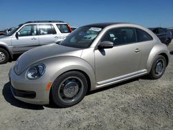 Salvage cars for sale at Antelope, CA auction: 2013 Volkswagen Beetle