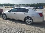 2006 Nissan Maxima SE