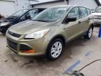 2014 Ford Escape S