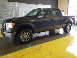 Salvage cars for sale from Copart Indianapolis, IN: 2010 Ford F150 Supercrew