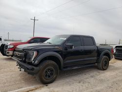 Salvage cars for sale at Phoenix, AZ auction: 2021 Ford F150 Raptor