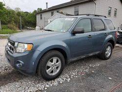 Salvage cars for sale at York Haven, PA auction: 2011 Ford Escape XLT