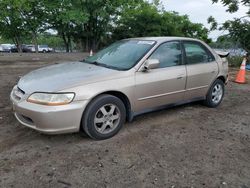 Salvage cars for sale at Baltimore, MD auction: 2000 Honda Accord SE