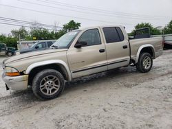 Vehiculos salvage en venta de Copart Walton, KY: 2002 Dodge Dakota Quad SLT