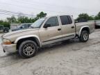 2002 Dodge Dakota Quad SLT