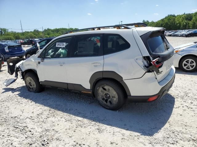 2024 Subaru Forester Wilderness