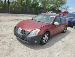 Salvage cars for sale at Cicero, IN auction: 2004 Nissan Maxima SE