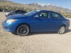 Salvage cars for sale at Reno, NV auction: 2010 Toyota Corolla Base