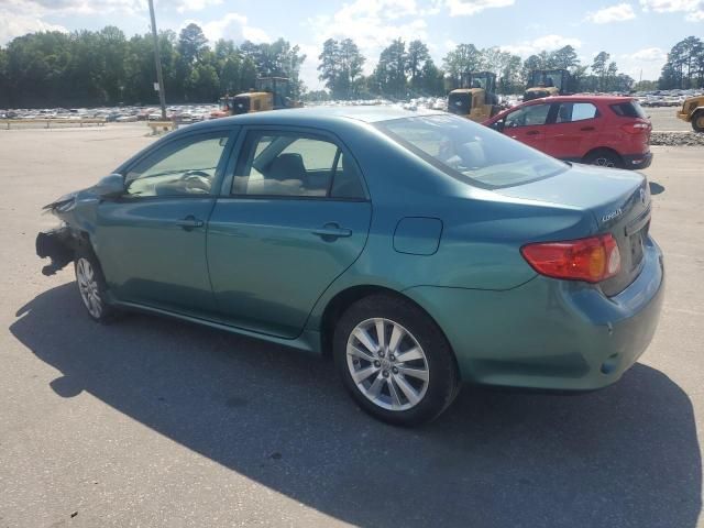 2010 Toyota Corolla Base