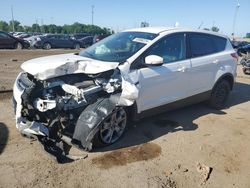 Ford Escape SEL salvage cars for sale: 2013 Ford Escape SEL