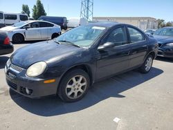 Salvage cars for sale from Copart Hayward, CA: 2003 Dodge Neon SXT