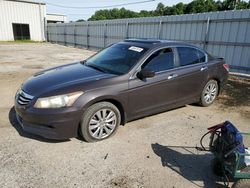 Salvage cars for sale at Grenada, MS auction: 2012 Honda Accord EXL