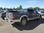 2004 Dodge Dakota Quad SLT