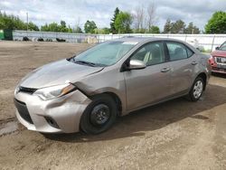 Salvage cars for sale from Copart Ontario Auction, ON: 2014 Toyota Corolla L