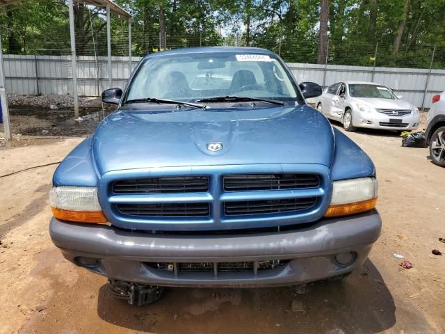 2003 Dodge Dakota SXT