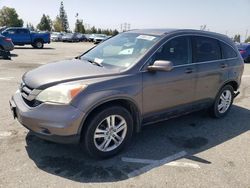 Salvage cars for sale from Copart Rancho Cucamonga, CA: 2010 Honda CR-V EXL