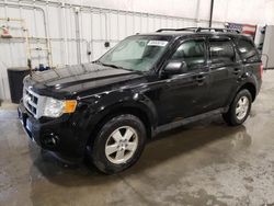 Salvage cars for sale at Avon, MN auction: 2012 Ford Escape XLT