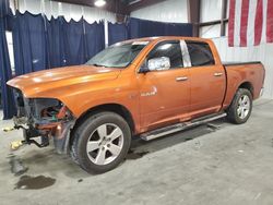 Salvage cars for sale at Byron, GA auction: 2010 Dodge RAM 1500