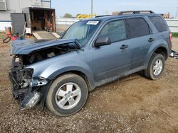 Salvage cars for sale at Bismarck, ND auction: 2012 Ford Escape XLT