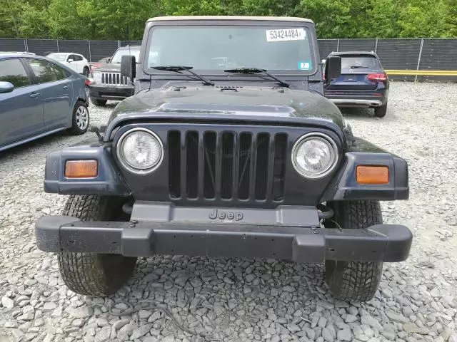 1999 Jeep Wrangler / TJ Sport