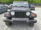 1999 Jeep Wrangler / TJ Sport