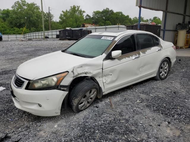 2010 Honda Accord EXL