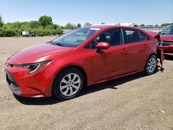 Toyota Corolla salvage cars for sale: 2020 Toyota Corolla LE