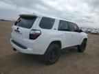 2016 Toyota 4runner SR5/SR5 Premium