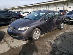Salvage cars for sale at Louisville, KY auction: 2013 Honda Civic LX