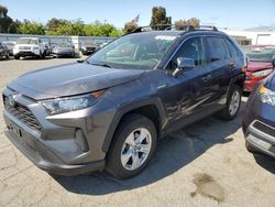 Toyota rav4 le salvage cars for sale: 2019 Toyota Rav4 LE