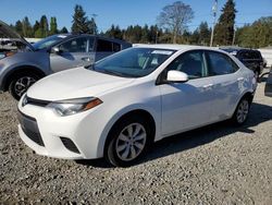 Salvage cars for sale at Graham, WA auction: 2014 Toyota Corolla L