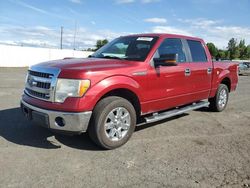 Ford salvage cars for sale: 2013 Ford F150 Supercrew