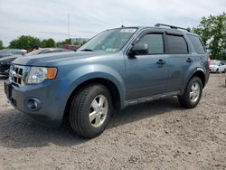 Salvage cars for sale at Central Square, NY auction: 2012 Ford Escape XLT