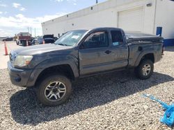 Salvage cars for sale at Farr West, UT auction: 2010 Toyota Tacoma Access Cab