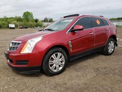 Salvage cars for sale from Copart Columbia Station, OH: 2011 Cadillac SRX Luxury Collection