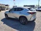 2023 Lexus NX 350