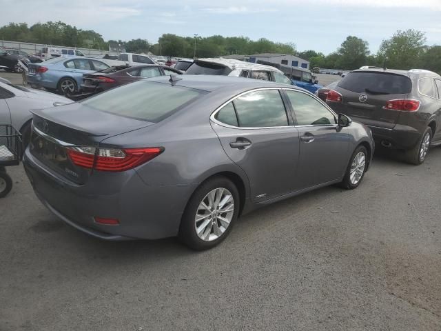 2013 Lexus ES 300H