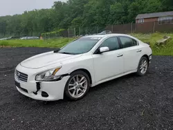 Salvage cars for sale at Finksburg, MD auction: 2009 Nissan Maxima S