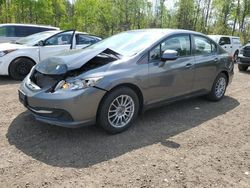 Honda Civic lx salvage cars for sale: 2013 Honda Civic LX