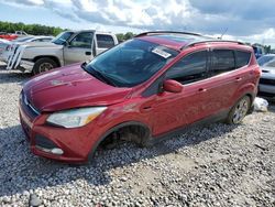 Salvage cars for sale at Memphis, TN auction: 2016 Ford Escape SE