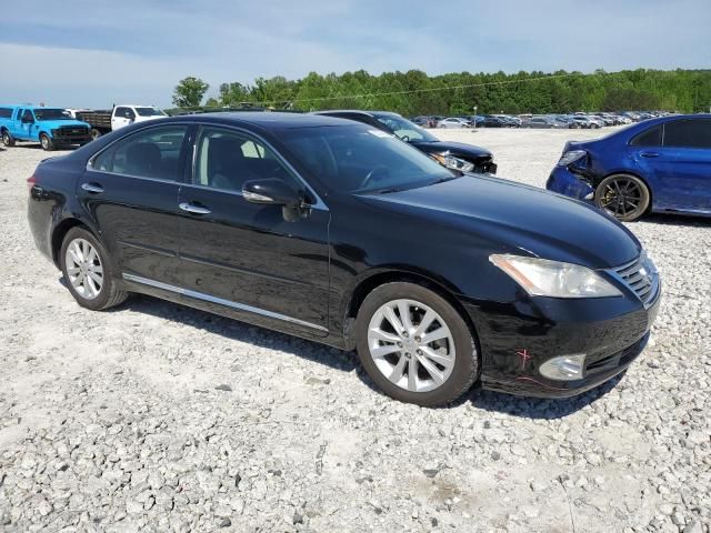 2010 Lexus ES 350