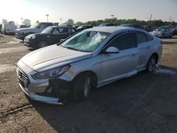 Salvage cars for sale at Indianapolis, IN auction: 2019 Hyundai Sonata SE