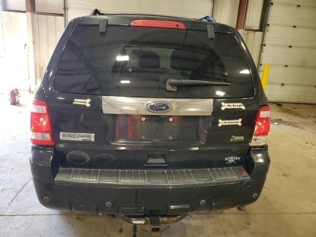 2010 Ford Escape Limited