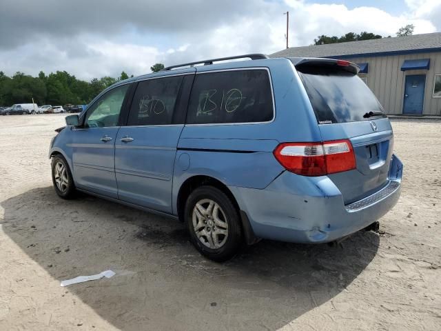 2005 Honda Odyssey EXL