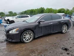 Salvage cars for sale at Chalfont, PA auction: 2011 Nissan Maxima S