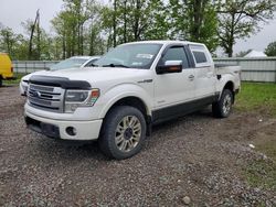 Salvage cars for sale at Central Square, NY auction: 2013 Ford F150 Supercrew
