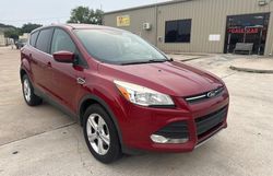 Salvage cars for sale from Copart Houston, TX: 2015 Ford Escape SE