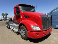 Salvage trucks for sale at Phoenix, AZ auction: 2017 Peterbilt 579