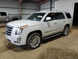 Salvage cars for sale at Houston, TX auction: 2017 Cadillac Escalade Luxury